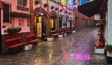 Feel like I captured a moment most people wouldn’t see. Friday December 5th 1pm and not a soul in sight.