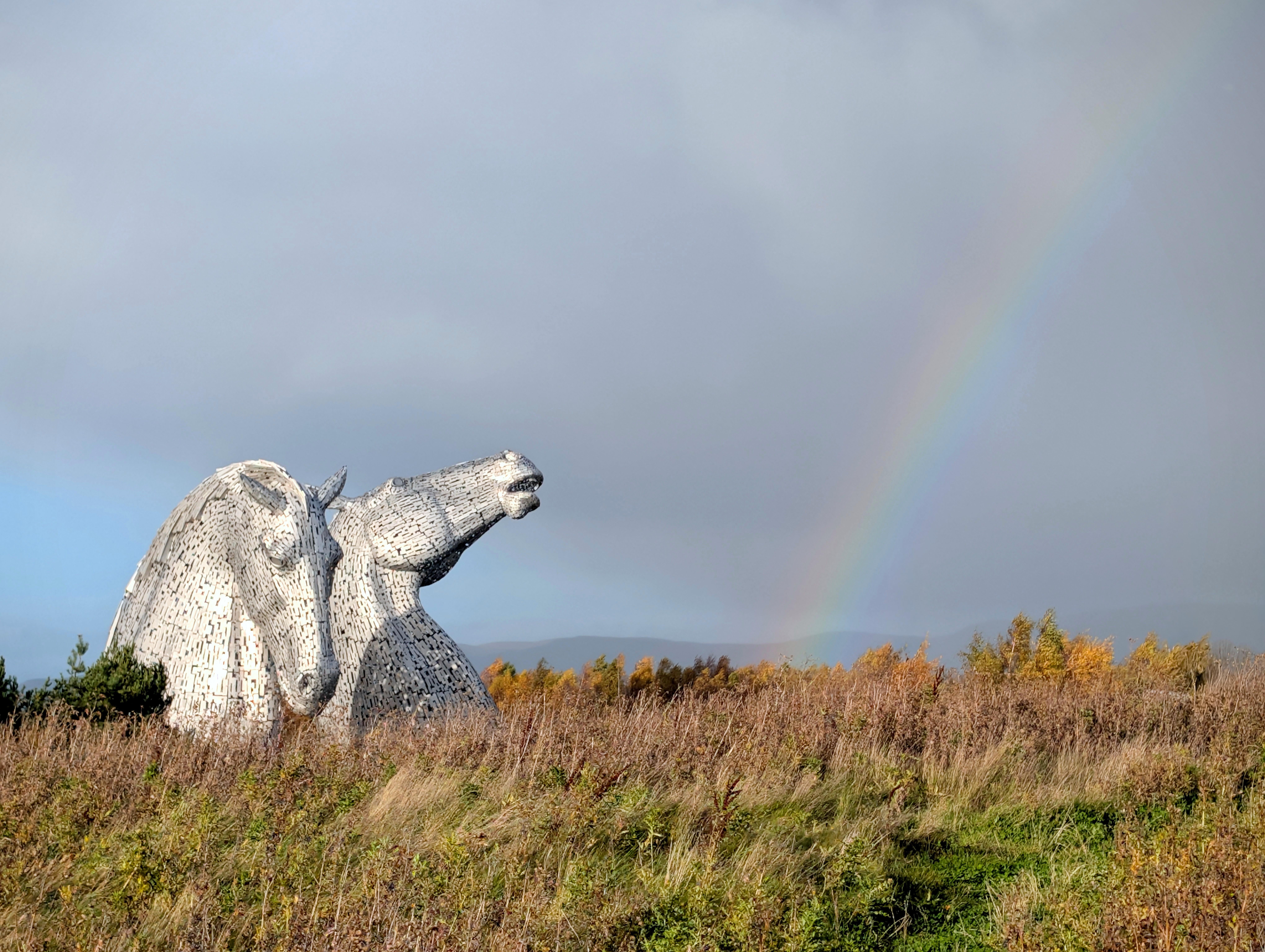Since someone else posted a picture of the Kelpies I thought I might share one of mine.