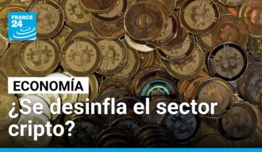 El mercado cripto se enfría al cierre de 2025 tras un año de euforia y retrocesos • FRANCE 24
