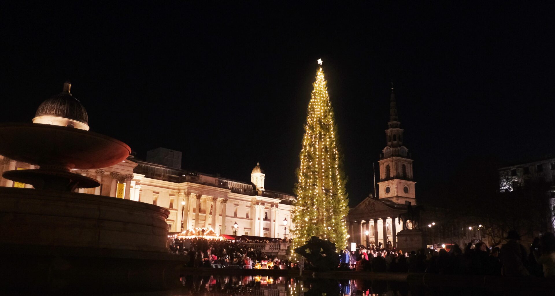 The Trafalgar Square Christmas Tree