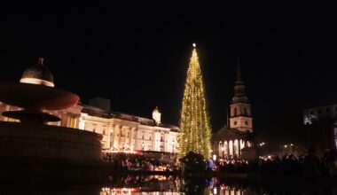The Trafalgar Square Christmas Tree