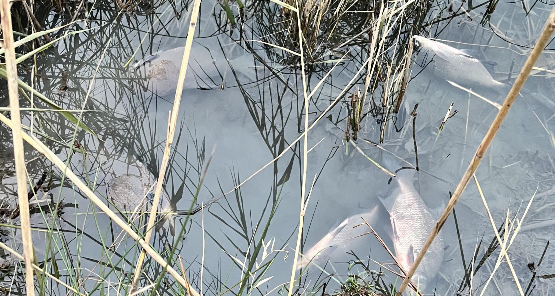 Was ist hier passiert?