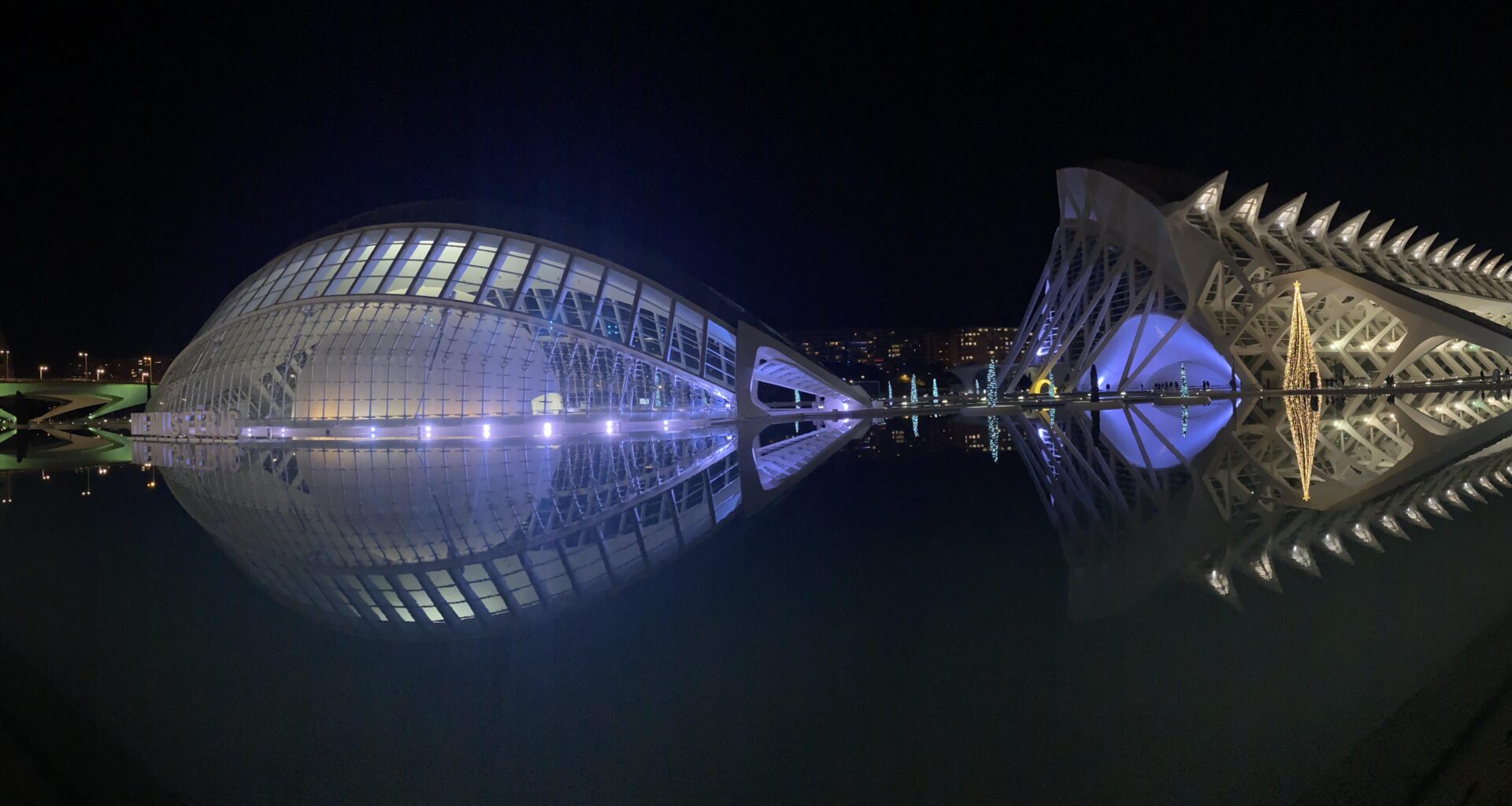 Breathtaking City of Arts & Sciences @ Night