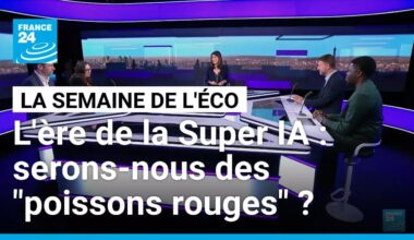 L'ère de la Super IA : serons-nous des "poissons rouges" ? • FRANCE 24
