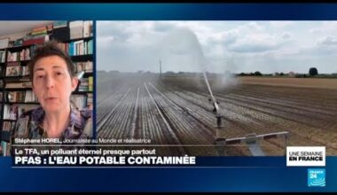 L'eau potable contaminée par un polluant éternel : quels dangers sur la santé ? • FRANCE 24