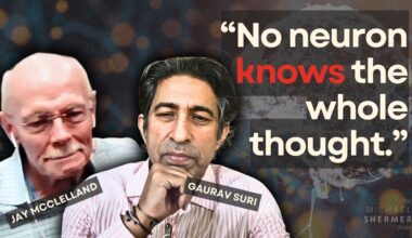 From Ant Colonies to Human Thought to Artificial Intelligence