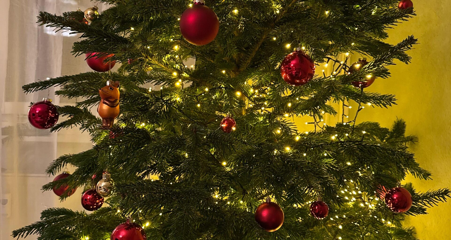 Weihnachtsbaum zieht kein Wasser?