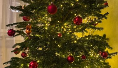 Weihnachtsbaum zieht kein Wasser?