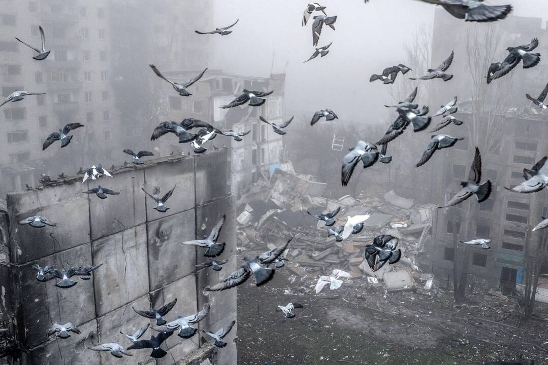 Des pigeons volent au-dessus des ruines de Kostyantynivka, dans la région de Donetsk, l'une des villes les plus menacées par l'avancée russe. Photo prise le 28 novembre et transmise par l'armée ukrainienne. — © OLEG PETRASIUK / AFP Des pigeons volent au-dessus des ruines de Kostyantynivka, dans la région de Donetsk, l'une des villes les plus menacées par l'avancée russe. Photo prise le 28 novembre et transmise par l'armée ukrainienne. — © OLEG PETRASIUK / AFP