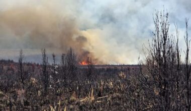 Helicopters battle large fire in Tongariro