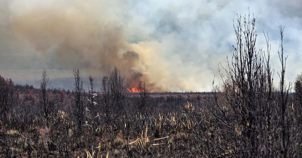 Helicopters battle large fire in Tongariro