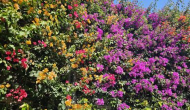 Was ist der schönste Ort für Naturfreunde?