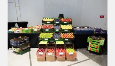 Moldovan producers' solutions for modern orchards and access to foreign markets