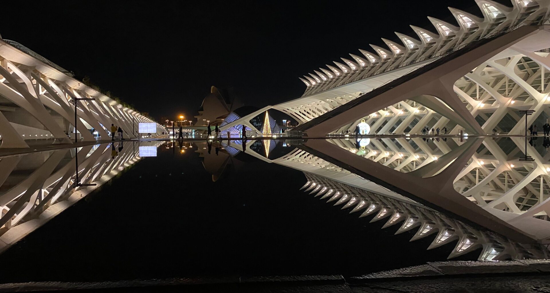 Bon Nadal from Valencia, Spain