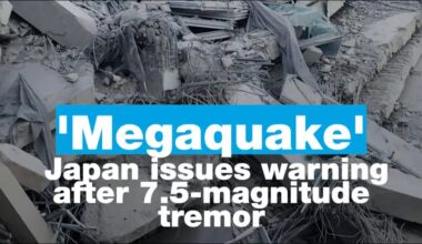 ‘Megaquake’: Japan issues warning after 7.5-magnitude tremor • FRANCE 24 English