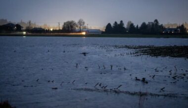 Here's what you need to know about B.C.'s Fraser Valley flood risk