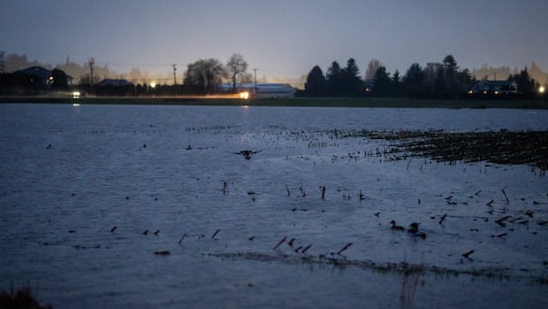 Here's what you need to know about B.C.'s Fraser Valley flood risk