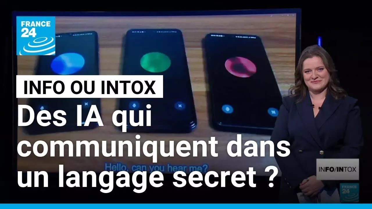 Des IA ont-elles créé un langage secret pour communiquer entre elles ? • FRANCE 24