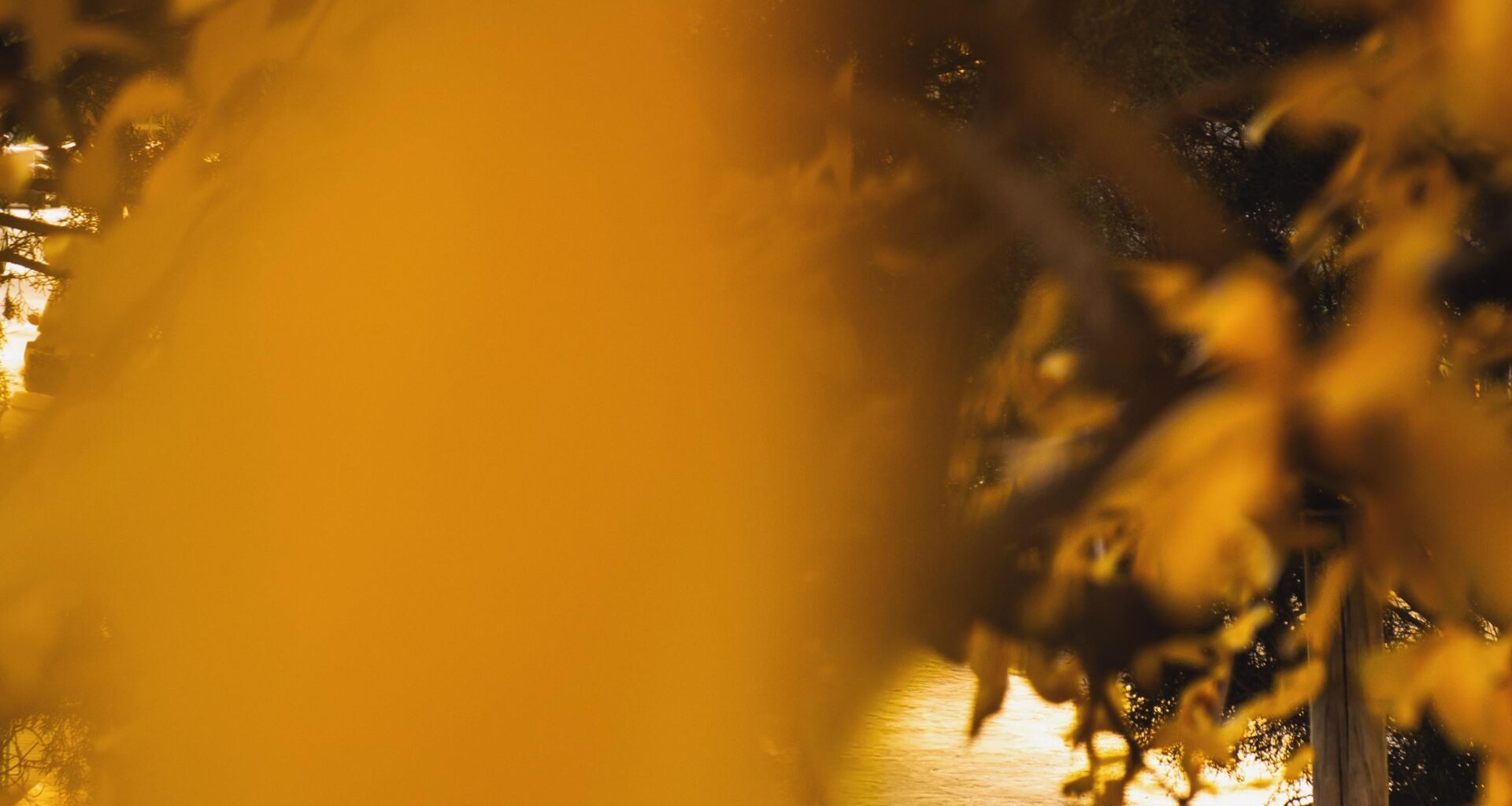 A little bit of early afternoon Barcelona in December