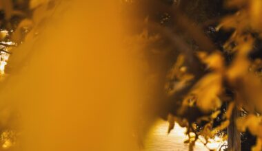 A little bit of early afternoon Barcelona in December