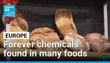 Forever chemicals found in cereals, bread, pasta and other food according to new study • FRANCE 24