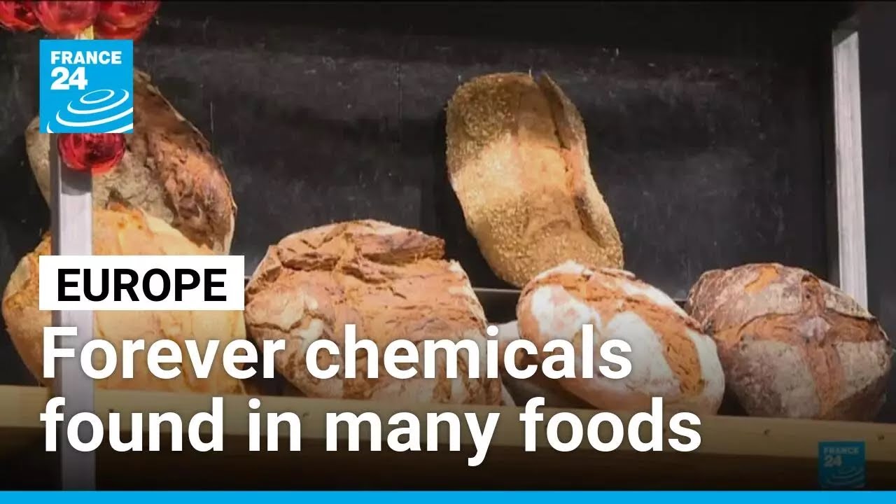 Forever chemicals found in cereals, bread, pasta and other food according to new study • FRANCE 24