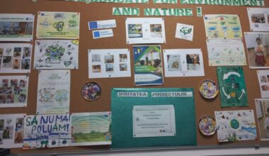 Deșeuri valorificate prin Erasmus +