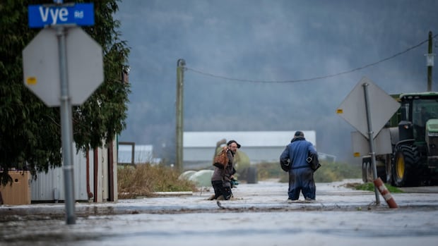 Flooding in B.C.'s Fraser Valley expected to peak Friday, with more rain on the way