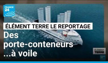 Des cargos à voile pour remplacer les géants des mers à moteur • FRANCE 24