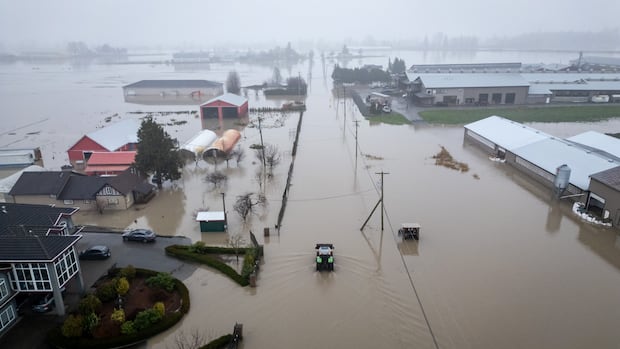 More rain forecast for Fraser Valley as Abbotsford floodwaters begin to recede