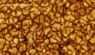 UH scientists help unlock sun’s magnetic secrets with artificial intelligence : Kauai Now