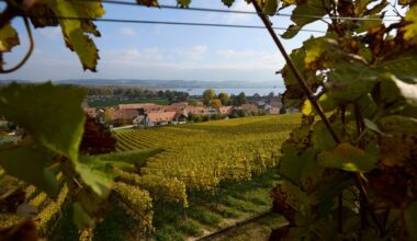 Zoug sert du vin étranger lors d’une conférence