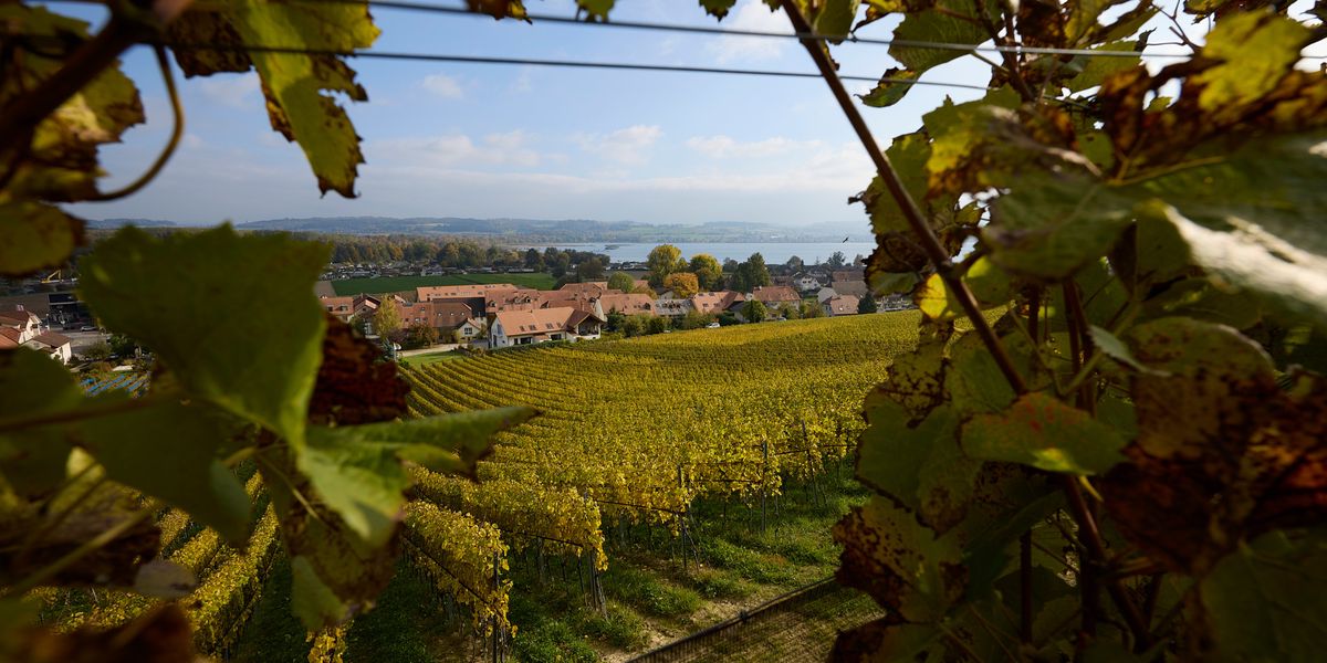 Zoug sert du vin étranger lors d’une conférence