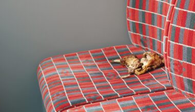 Is this not a good enough reason why we shouldn't have moquette on our seats?