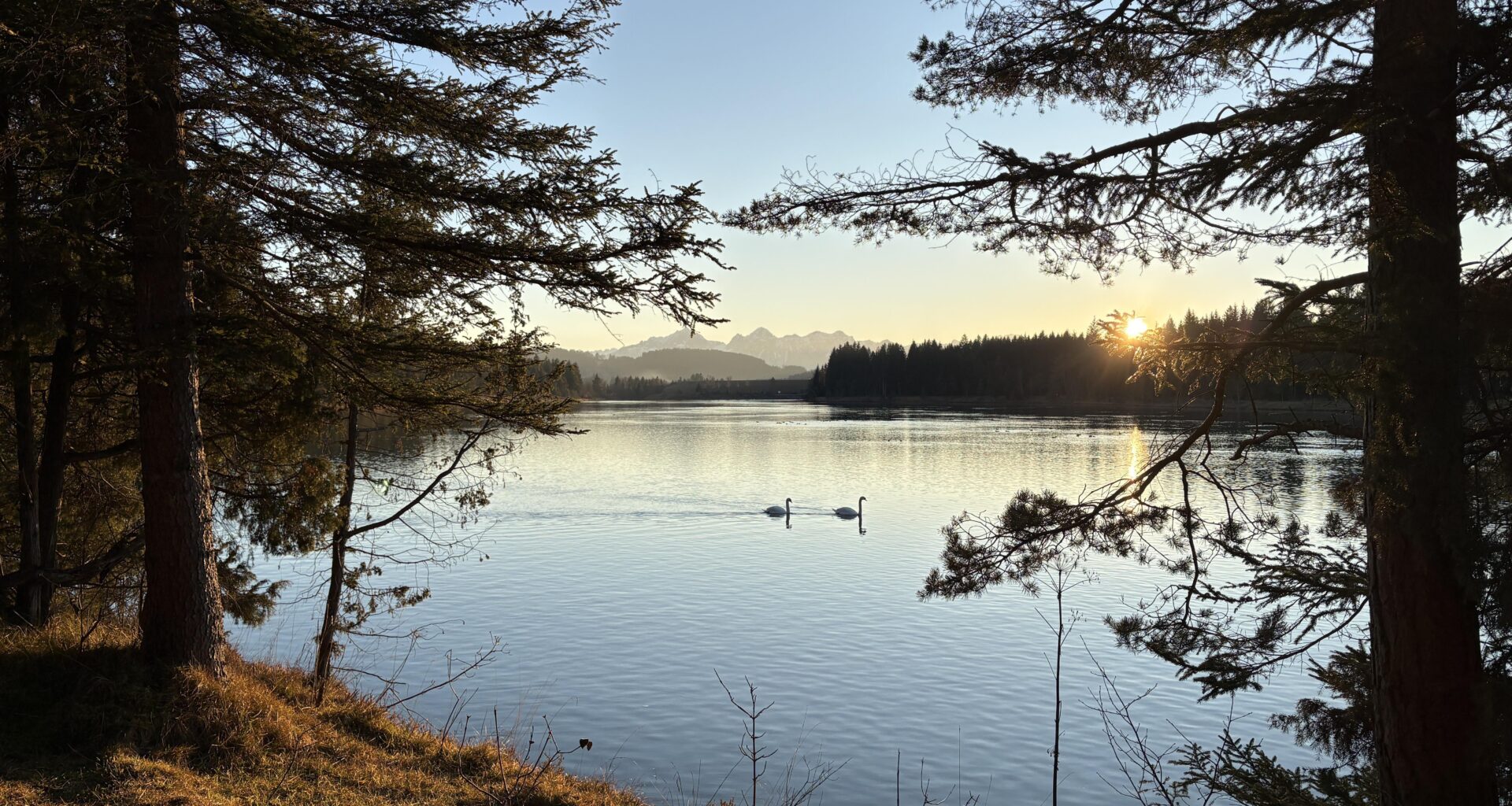 Friedvolle Stimmung zum Sonnenuntergang ❤️