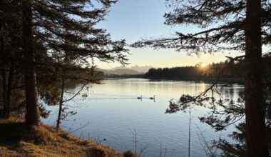 Friedvolle Stimmung zum Sonnenuntergang ❤️