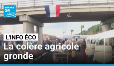 Dermatose bovine, Mercosur et PAC : la colère agricole gronde • FRANCE 24