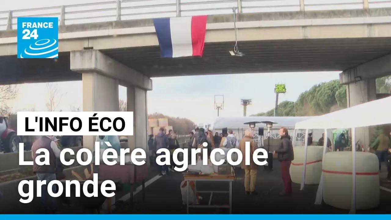 Dermatose bovine, Mercosur et PAC : la colère agricole gronde • FRANCE 24