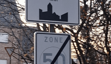 Mol taking off its glasses