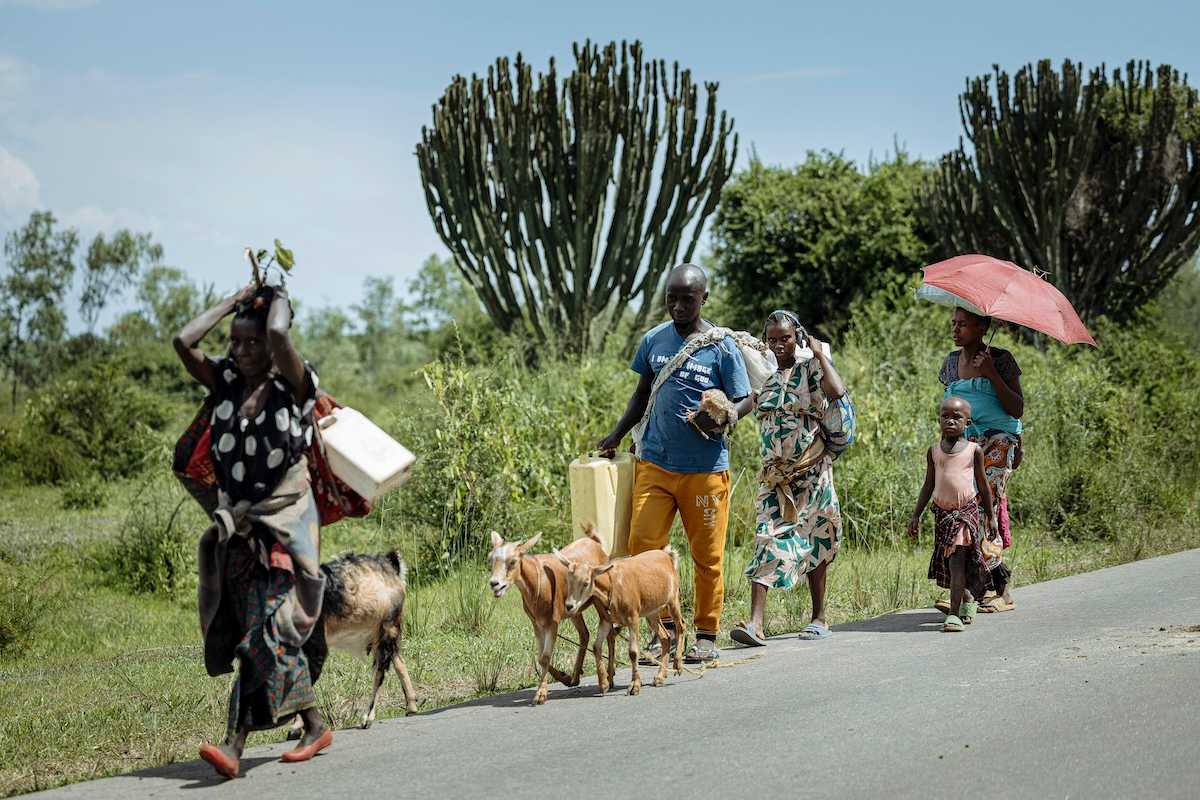 Pope Leo mentions failed peace deal in DRC