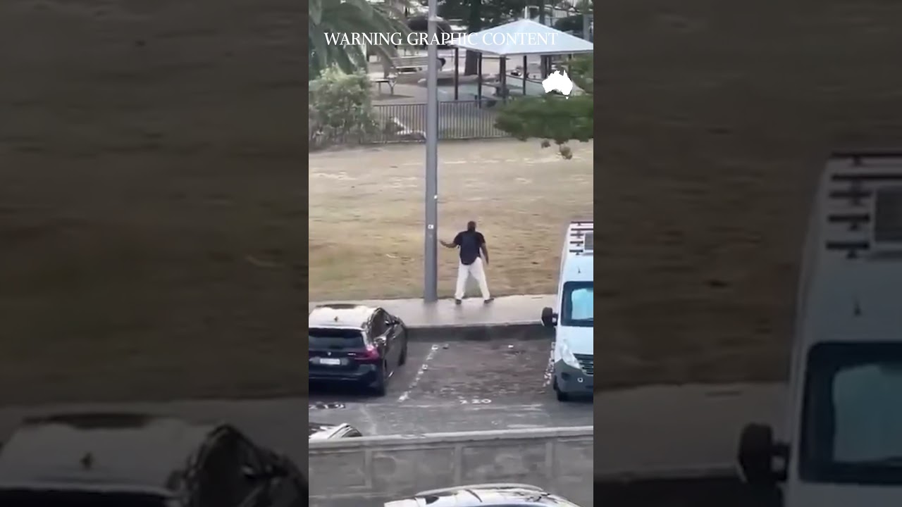 Bondi Shooter disarmed by hero bystander