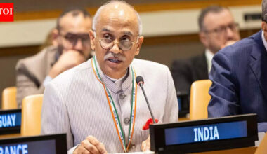 Watch: India rebukes Pakistan at UNSC; says J&K, Ladakh are integral parts of the country | India News