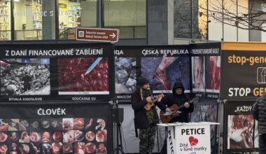 Potrati se stánkem o potratech před Karolinou v Ostravě. Během akce hrají na ukulele a zpívají. Názor?