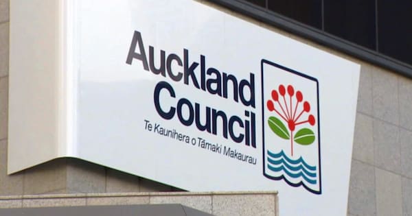 Rare election rerun in Auckland due to irregularities, judge rules