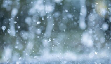 Weather fronts bring much needed rain to Spain | News