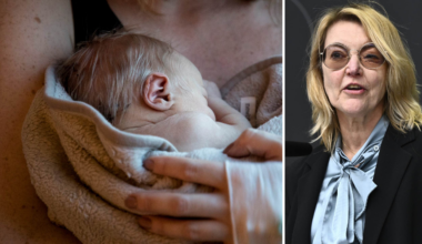 Sveriges tysta kris – det föds för få barn: ”Inte jätteroligt”