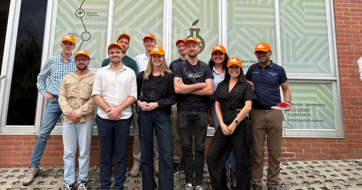 Colombia Emerges as a Key Sustainable Hass Supplier for Europe: What It Means for the Netherlands