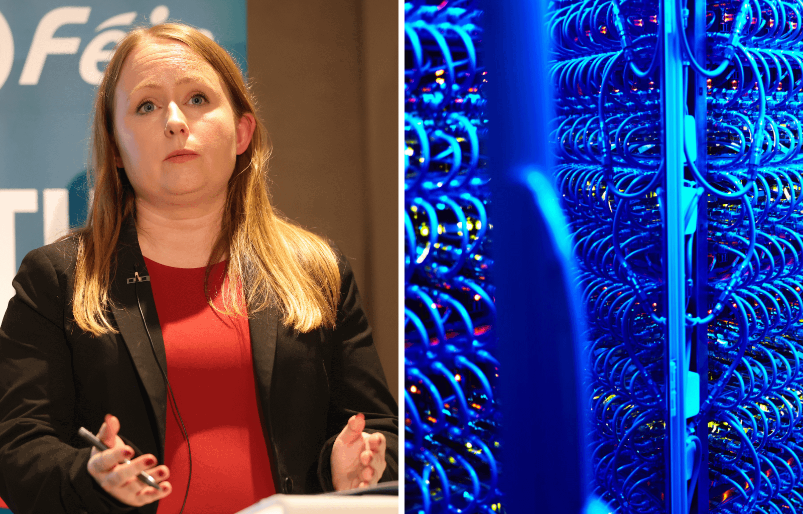 Data centres not paying 'fair share' towards national grid upgrade - Sinn Féin