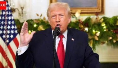 'We made a lot more money ... ': Trump says tariffs are paying US military $1,776 'warrior dividend'— here is how