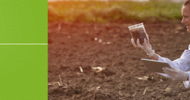 New additions to Environment Journal’s Advisory Board – The Environment Journal